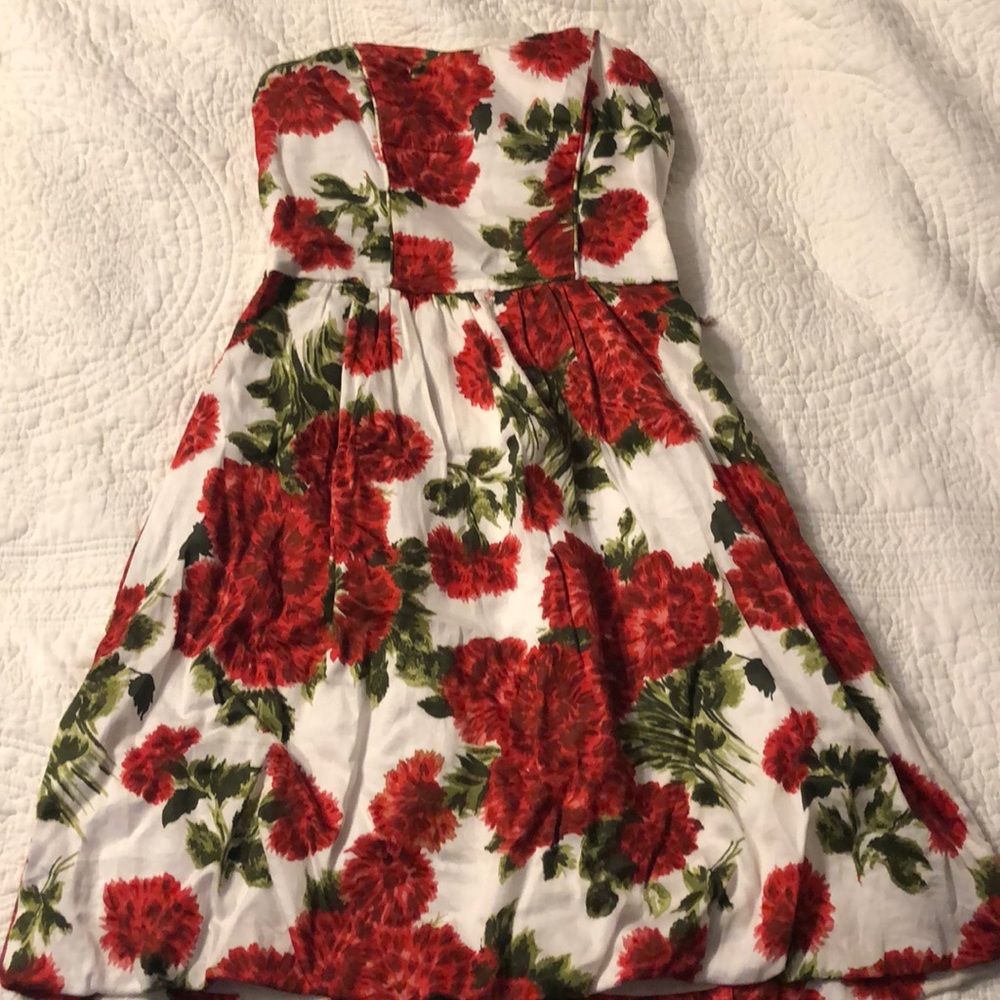 Rose dress